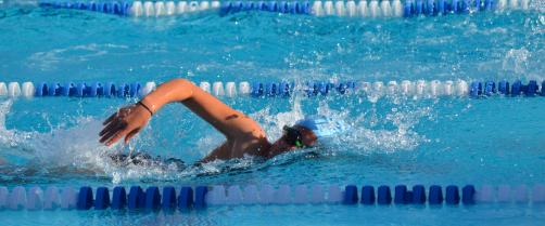 Trenažno plivanje PK SWIM WAY Beograd